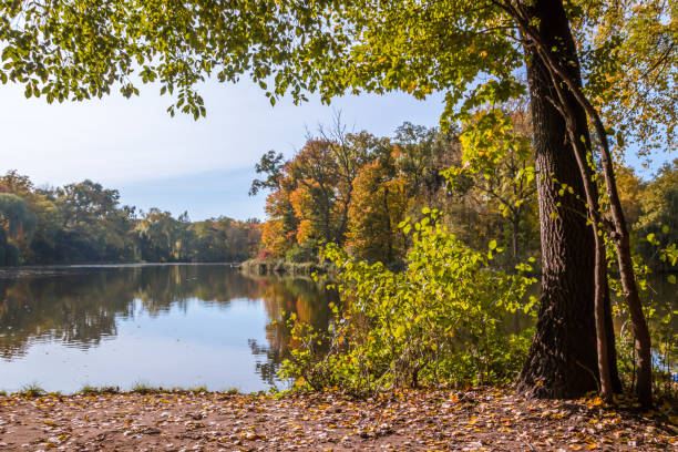 istock Autumn colors in the park 1283384587