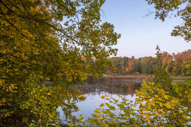 istock Autumn colors in the park 1283384591