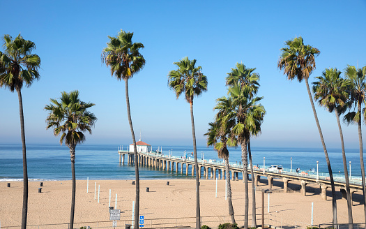 Manhattan Beach Pier, beach, palm trees on a sunny morning.