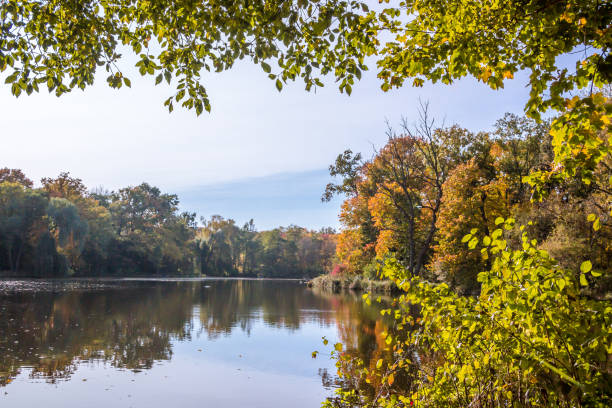 istock Autumn colors in the park 1283384866
