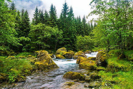 Beautiful river with big stones in amazing forest. Location: Scandinavian Mountains, Norway. Artistic picture. Beauty world.