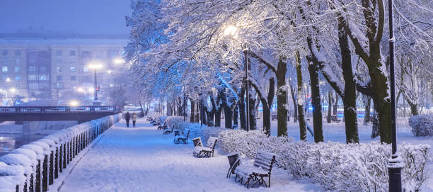 amazing winter night landscape of snow covered bench among snowy trees and shining lights during the snowfall. artistic picture. beauty world. panorama - snow winter bench park imagens e fotografias de stock