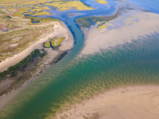 istock Aerial view of lagoon with white sands 1283387437