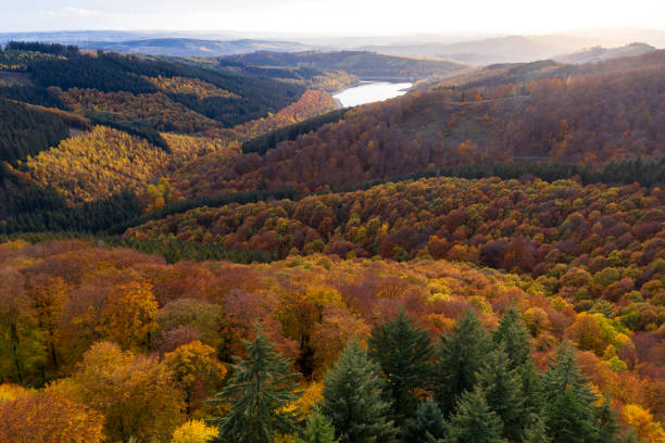 istock the rothaargebirge mountains in germany in autumn 1283389693