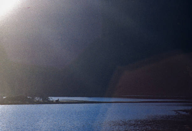 Alaska - Moose Silhouette & Lake - 1997