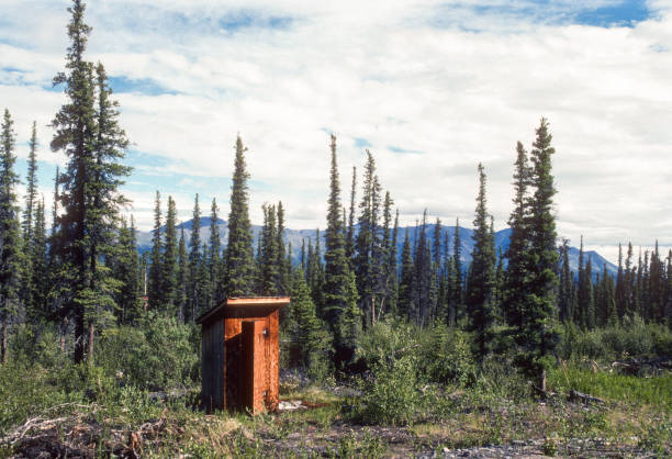 Alaska - Forest & Outhouse - 1997