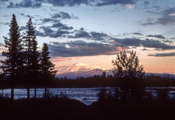 Alaska - Mount Sanford & Three Evergreens - 1997