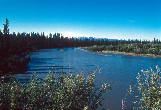 istock Alaska - Mt Sanford & Slana River - 1997 1283392655