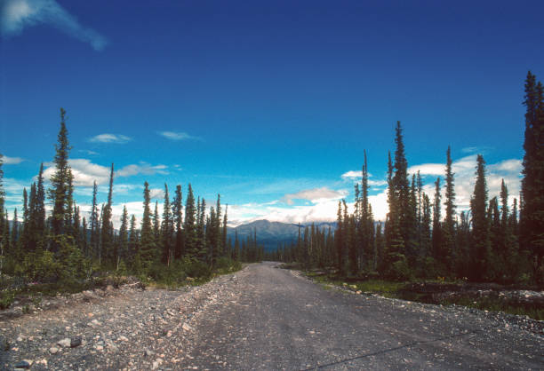 Alaska - Slana Area Road - 1997