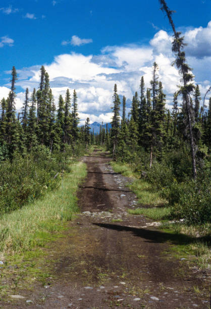 Alaska - Slana Area Road Vertical - 1997