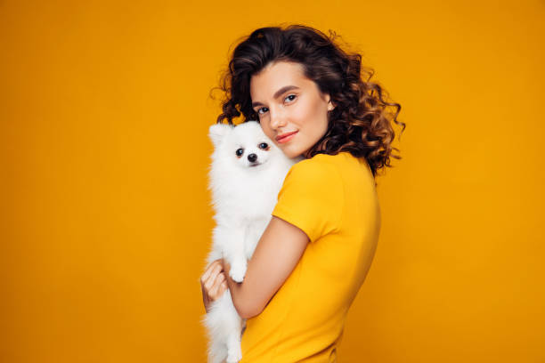 istock Beautiful woman holding spitz dog on her hands 1283403425