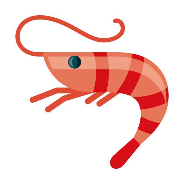 Seafood Icon on Transparent Background A flat design Spain icon on a transparent background (can be placed onto any colored background). File is built in the CMYK color space for optimal printing. Color swatches are global so it’s easy to change colors across the document. No transparencies, blends or gradients used. prawn animal stock illustrations
