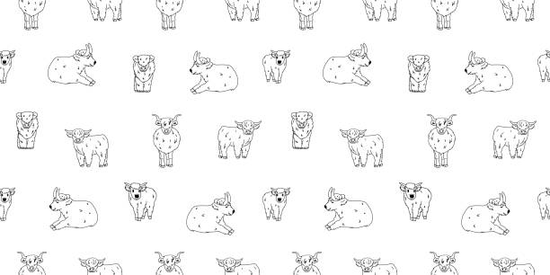 Black white seamless pattern of hand drawn small and big highland cows or bulls, which are sitting, standing, lying on the ground Black white seamless pattern of hand drawn small and big highland cows or bulls, which are sitting or standing, lying on the ground british beef cow stock illustrations