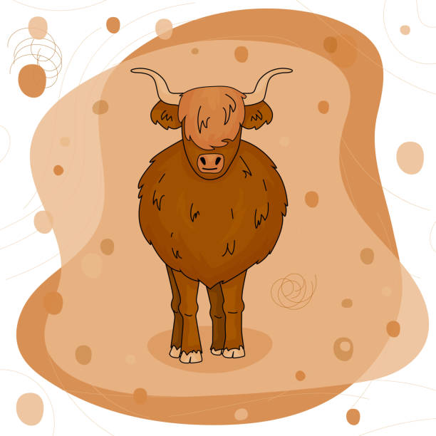 Cute Cartoon Bull high land cow is standing on the ground on pink and brown background Cute Cartoon Bull high land cow is standing on the ground on pink and brown background. Isolated character with bangs british beef cow stock illustrations