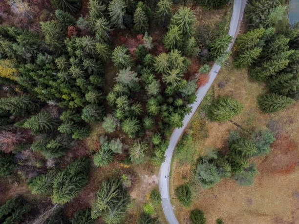 istock road in the autumn forest drone view 1283406915