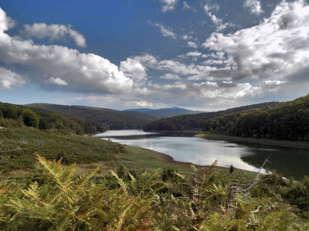 istock Idyllic landscape around the lake 1283407630
