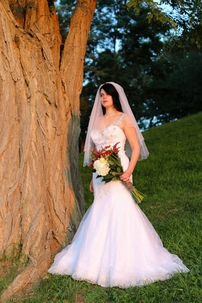 istock Beautiful autumn bride on hill under large old tree. 1283411857