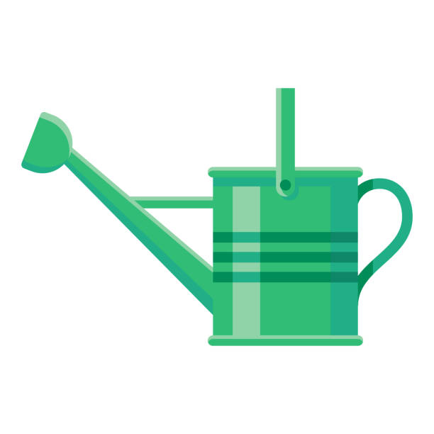 Watering Can Icon on Transparent Background A flat design gardening icon on a transparent background (can be placed onto any colored background). File is built in the CMYK color space for optimal printing. Color swatches are global so it’s easy to change colors across the document. No transparencies, blends or gradients used. watering can stock illustrations