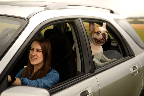 istock Woman in a car 1283412453