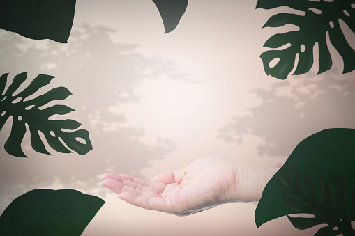 Young woman's hand on a light background with a blur of tree shadow and leaves in the foreground. Scenes for products display illustration design.