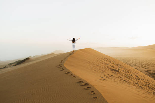 モロッコサハラ砂漠の巨大な砂丘の上を歩く女性。朝の美しい暖かい太陽の光と霧。後ろからの眺め。自由の概念。 - desert landscape morocco sand dune ストックフォトと画像