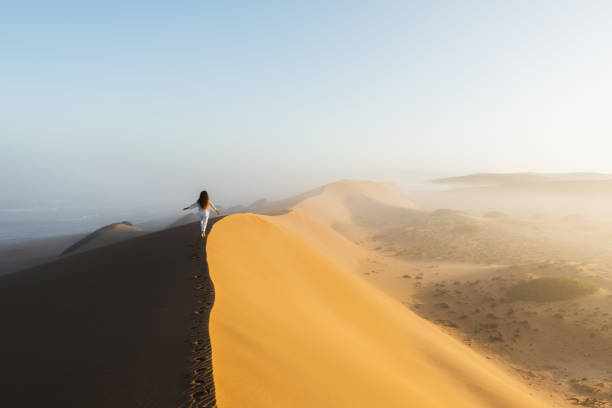 woman walking on top of huge sand dune in morocco sahara desert. beautiful warm sun light and mist in morning. view from behind. freedom concept. - fog desert arabia sunset imagens e fotografias de stock