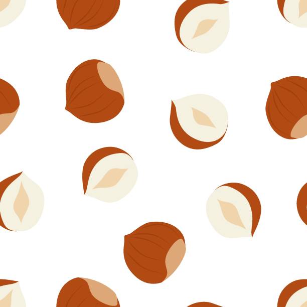 Hazelnut Hazelnut. Background with hazelnut. Vector seamless pattern EPS. hazelnut stock illustrations