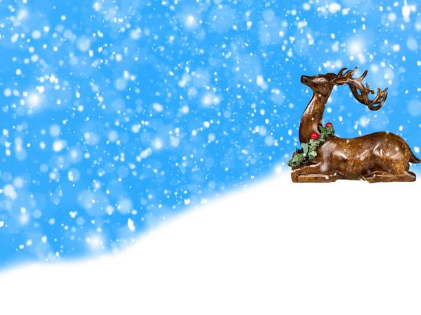 Reindeer in the snow with blue background