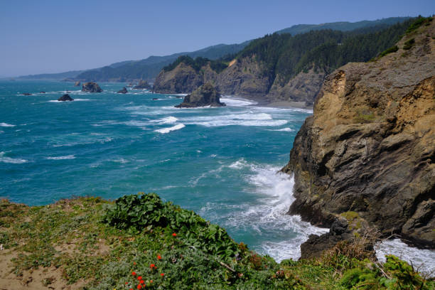 istock Wind whips up waves.  Oregon coast near Brookings. 1283426297