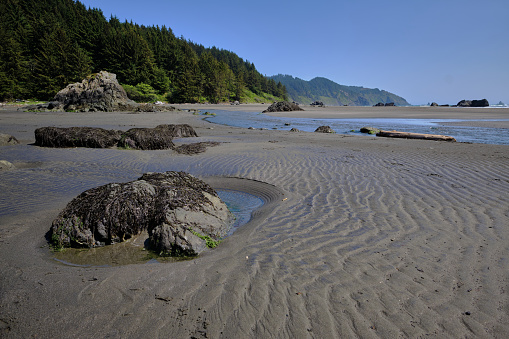 Low tide Whaleshead Beach in Oregon's Samuel H. Boardman State Scenic Corridor, exposes rippled sandy beach, seaweed and tide pools.