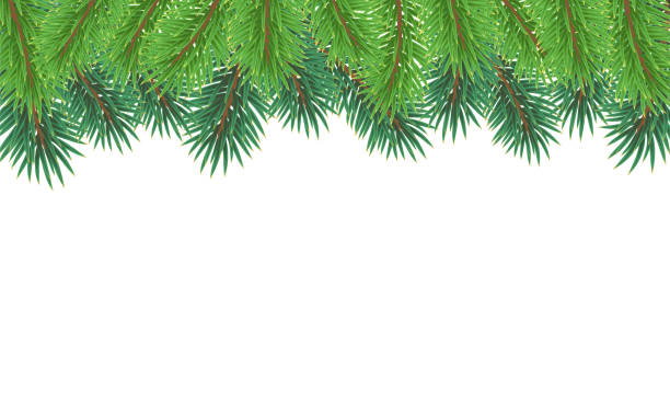 istock Frame made of Christmas tree. Illustration of the frame. A fir tree. White background. 1283428118