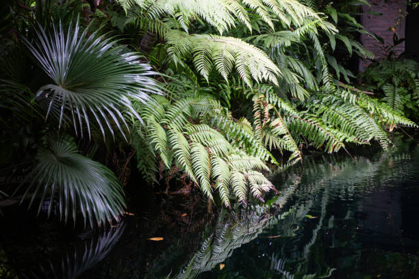 istock Green plants feel fresh surroundings 1283432713