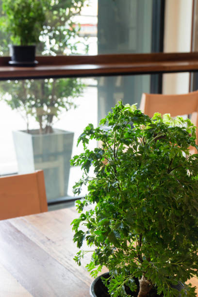 istock Cafe interior environment with green plant 1283432737