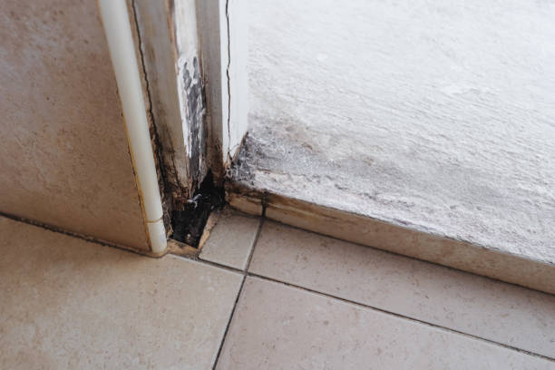 istock Old damaged wooden door frame 1283434444