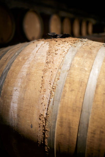 istock Beer casks and equipment, Belgium 1283434536