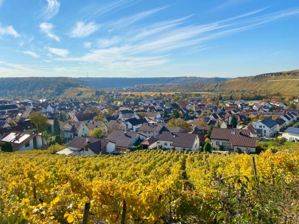istock Vineyards around Mundelsheim, Germany 1283438761