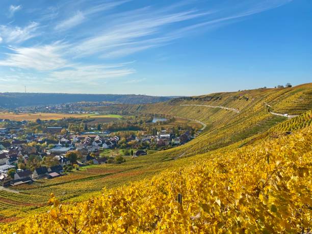 istock Vineyards around Mundelsheim, Germany 1283438787
