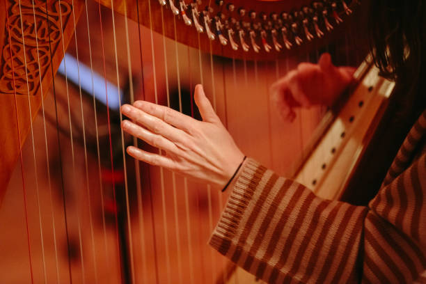 istock Harp player playing jazz at a festival 1283439022