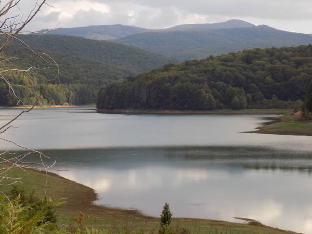 istock Idyllic grove with a glade on the lake side 1283439616