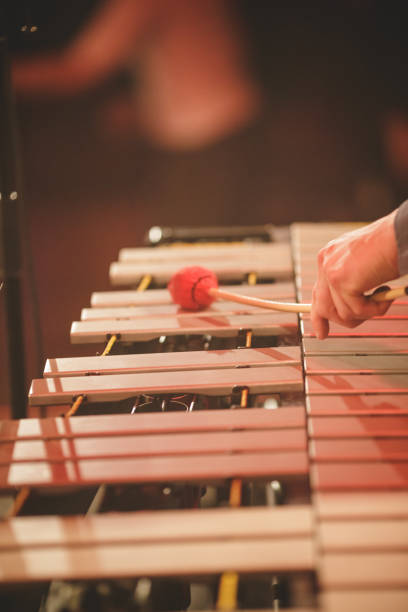 istock iXylophone player n a concert 1283439618