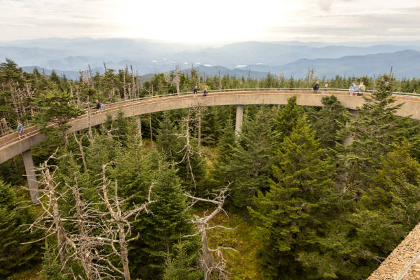istock Clingmans Dome viewpoint of pathway and mountains 1283439757