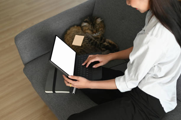 istock Peaceful young woman relaxing on couch with her cat while using tablet with blank screen in living room. 1283445271
