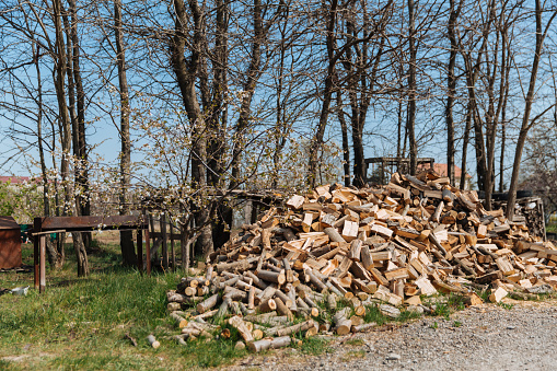 Chopped firewood from different species of trees. Preparation of firewood for the winter.