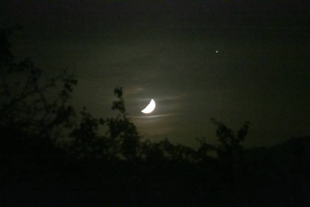 istock half moon behind bushes at night 1283446650