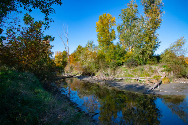 istock riverbank at the Danube 1283446907