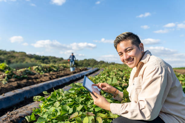 Young Farmer with Digital Tablet Smiling in the Fields. Smart Farming. Young Hispanic farmer with digital tablet smiling in the fields. Japanese senior man working behind. raw potato photos stock pictures, royalty-free photos & images