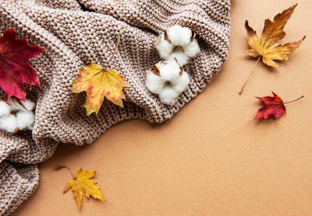 istock Knitted woolen  sweater or plaid,  dry leaves on brown background 1283451982