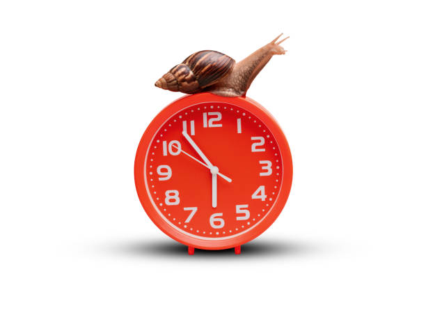 110 Humor Clock Slow Time Stock Photos, Pictures & Royalty-Free Images -  iStock