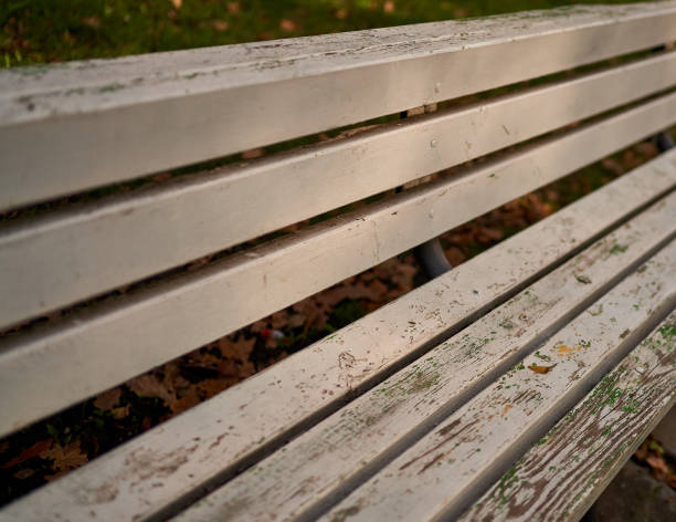 istock the bench is in the city park 1283455083