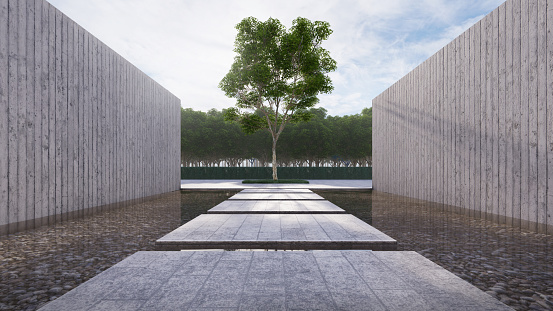 Concrete walk way float on the pond ,has wall concrete beside , and main big tree is center on background. 3D illustration